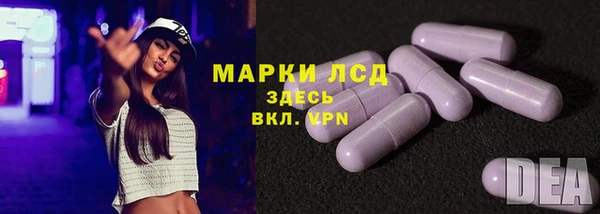 стаф Медвежьегорск
