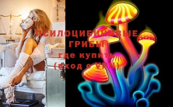 стаф Медвежьегорск