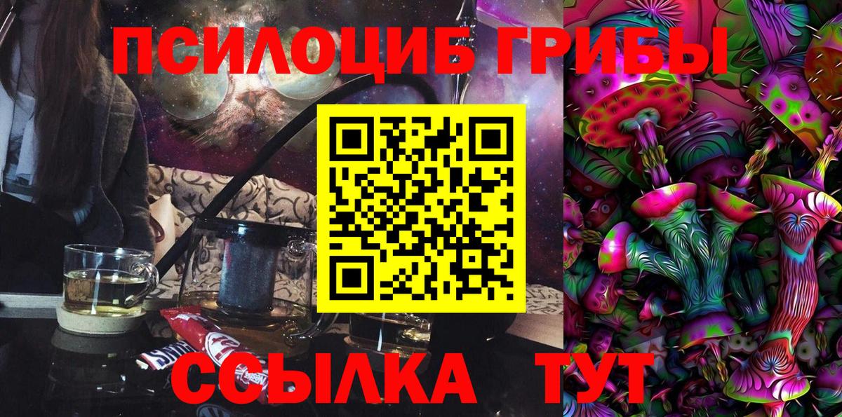 Галлюциногенные грибы Psilocybine cubensis Москва