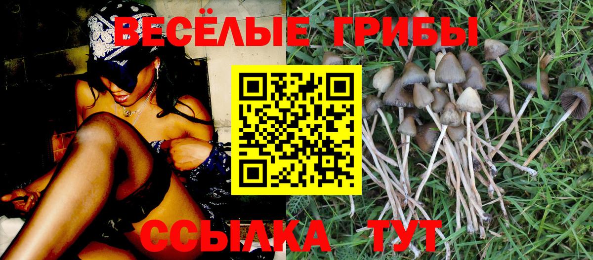 Москва  Псилоцибиновые грибы ЛСД  Галлюциногенные грибы Psilocybine cubensis  Вход с VPN 
