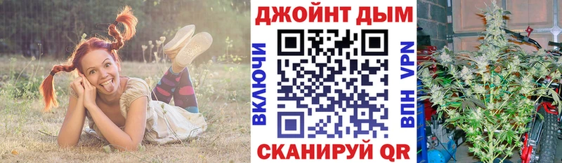 Бошки Шишки Amnesia  Москва 